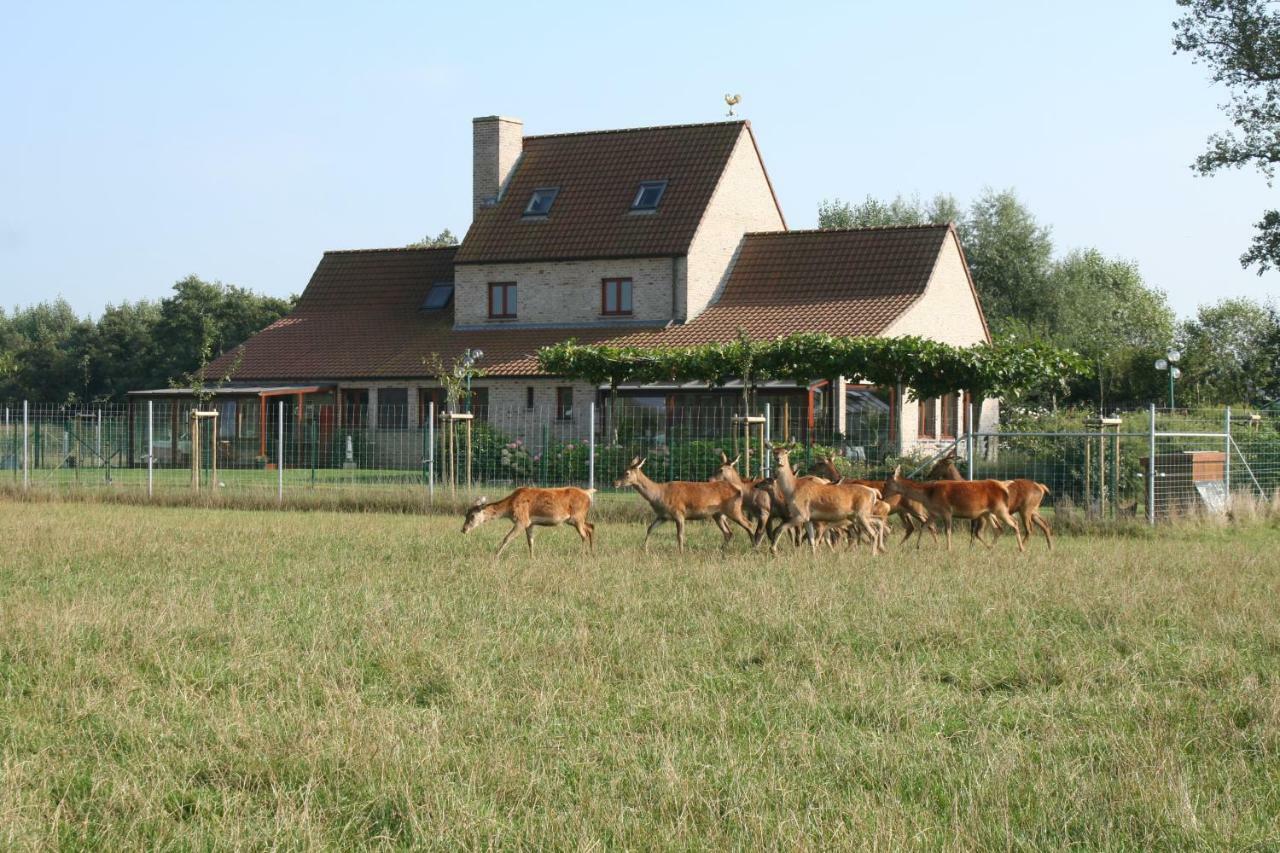 'T Leeg Huys Vila Lo-Reninge Exterior foto